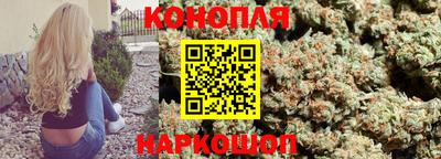 a pvp Ставрополь