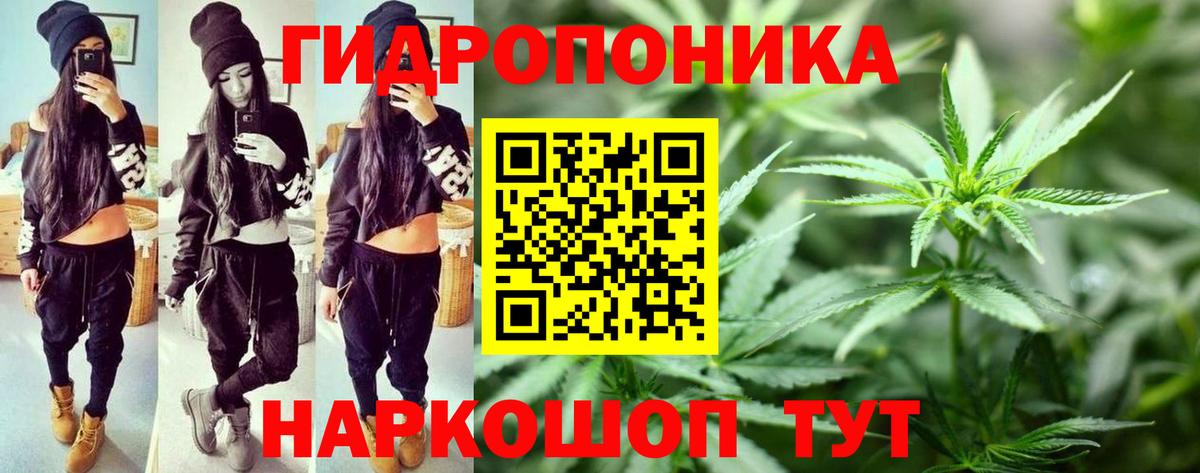 Бошки Шишки MAZAR Трёхгорный